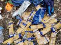 Bojano, buttati via gli alimenti destinati ai bisognosi