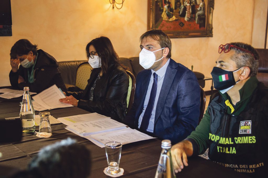 La Zittola e il cavallo pentro: il circolo vizioso dei risarcimenti