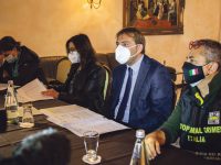 La Zittola e il cavallo pentro: il circolo vizioso dei risarcimenti