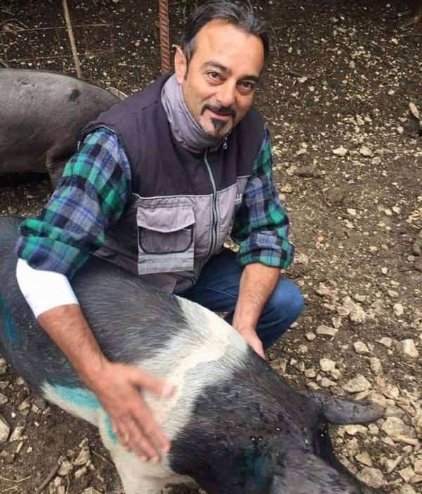 Storie di resistenza: Rocco e i suoi 70 maialini salvati solo grazie alla solidarietà