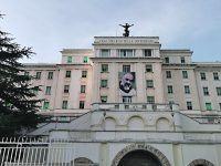 Infortunio fatale nella raccolta delle olive, imputati prosciolti