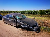 Campomarino, distrugge la macchina investendo un cinghiale: miracolosamente illeso