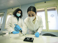 DIFESA: IL DIPARTIMENTO SCIENTIFICO MILITARE DEL CELIO HA SEQUENZIATO IL VIRUS DI UN SOGGETTO POSITIVO CON STESSA VARIANTE RISCONTRATA IN GRAN BRETAGNA