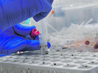 Altri 14 positivi al Covid, ma i guariti sono 26