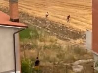 Sagome sospette, sono 2 i piromani denunciati