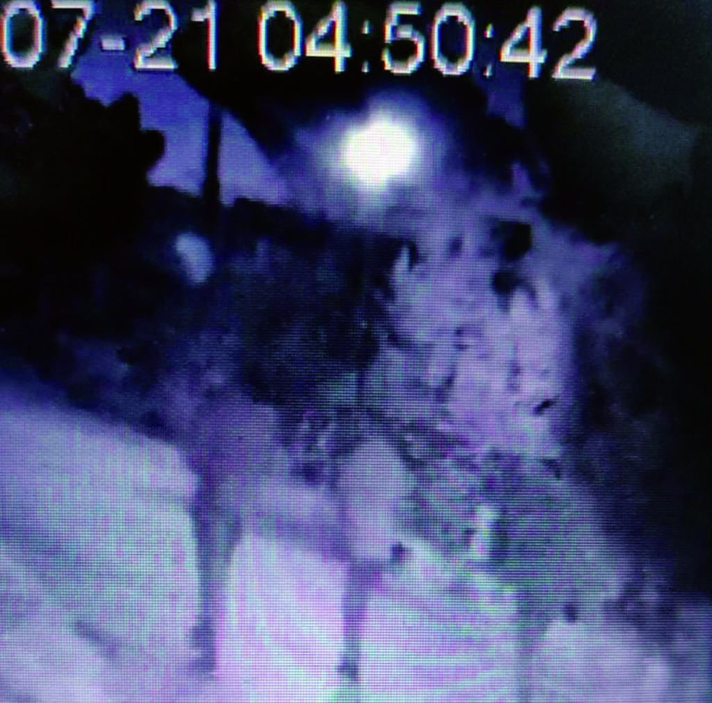 Raid dei ladri a Venafro, banda “fotografata” e messa in fuga