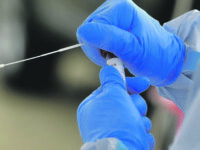 A Venafro scoppia il cluster indiano: 14 positivi tra lavoratori e familiari