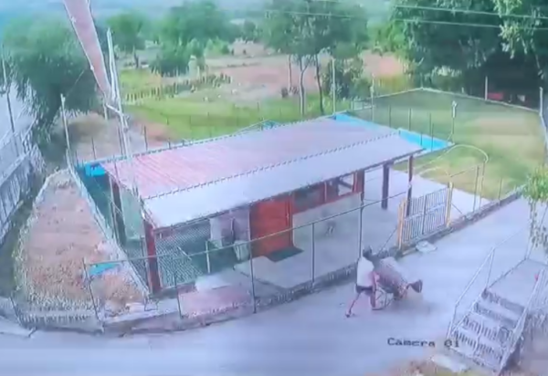 Santa Maria del Molise, ‘carica’ fioriere e panche in legno del Comune e le porta a casa sua