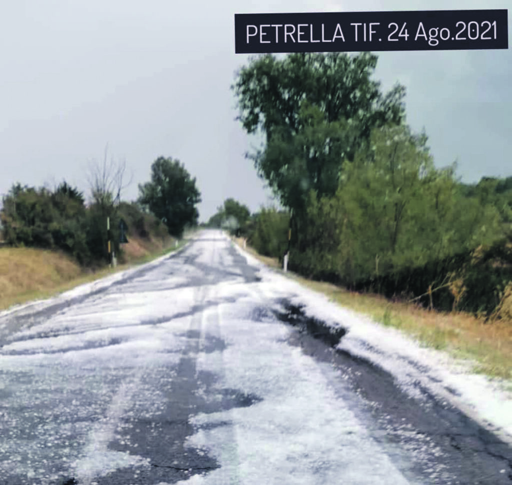 Vigneti e ulivi distrutti, a Petrella Tifernina inizia la conta dei danni