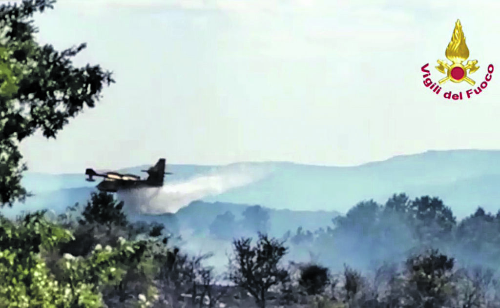 Cercemaggiore, in fumo diversi ettari di vegetazione a Capoiaccio