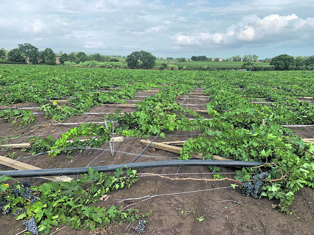 Danni causati dal maltempo, denunce entro metà settembre