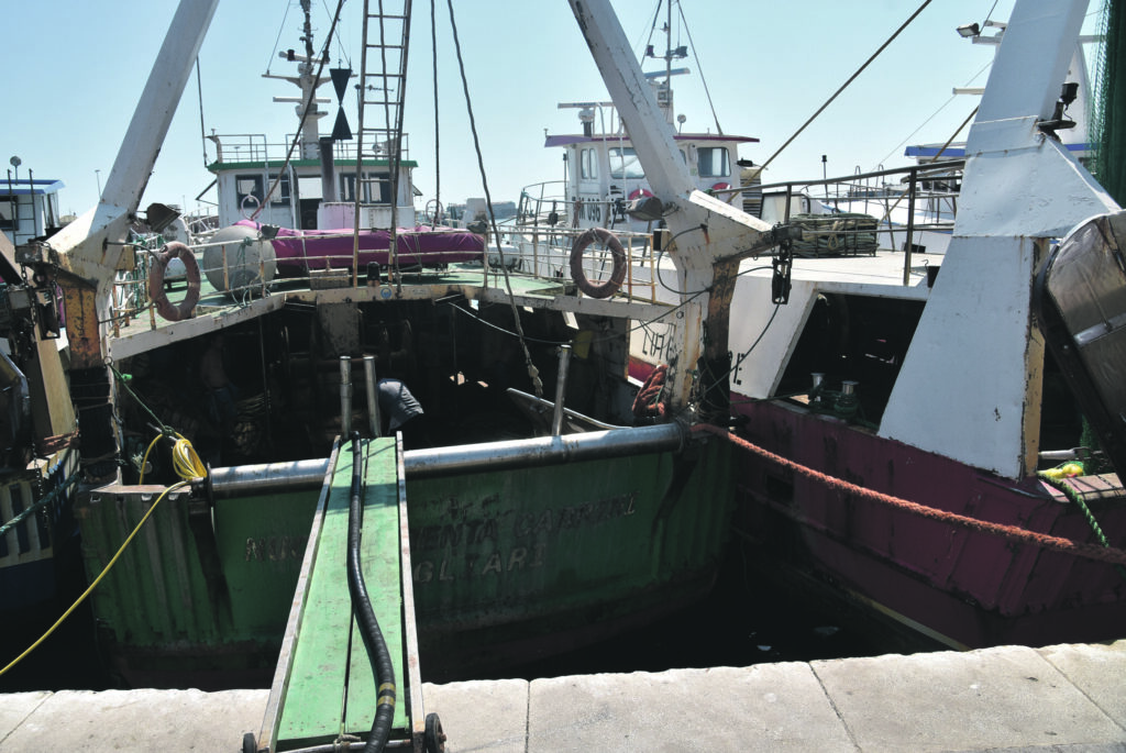 Pescherecci a riposo fino a metà settembre, il fermo biologico però non convince e indennizzi in ritardo