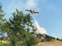 150 ettari di vegetazione in fumo tra Abruzzo e Molise
