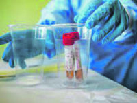 Altri 15 casi su 367 test, il tasso risale al 4%