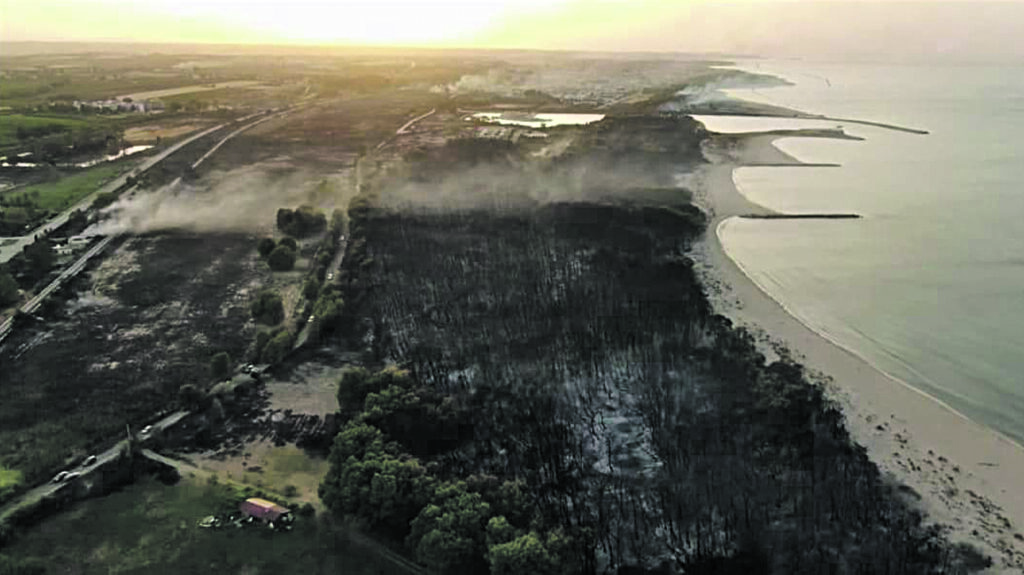 Campomarino, Silvestri: pineta in fumo è disastro ambientale