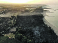 Campomarino, Silvestri: pineta in fumo è disastro ambientale