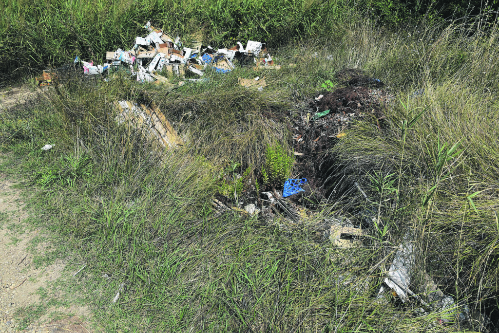 Termoli, territorio senza controllo: discariche abusive proliferano sotto i viadotti