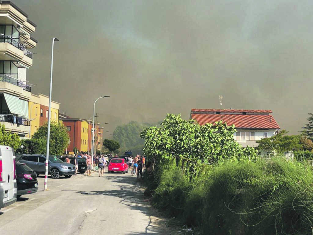 Ultimo stipendio a luglio, operai forestali dimenticati