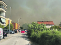 Ultimo stipendio a luglio, operai forestali dimenticati