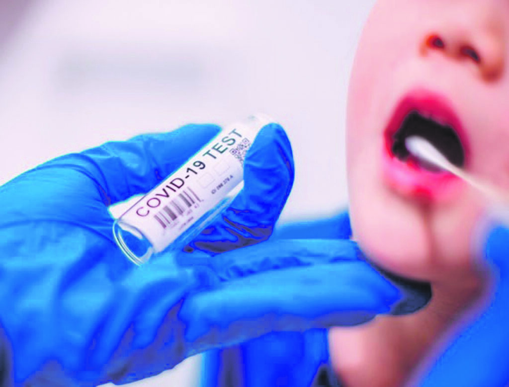 Covid, contagi in classe: prima elementare in Dad a Isernia