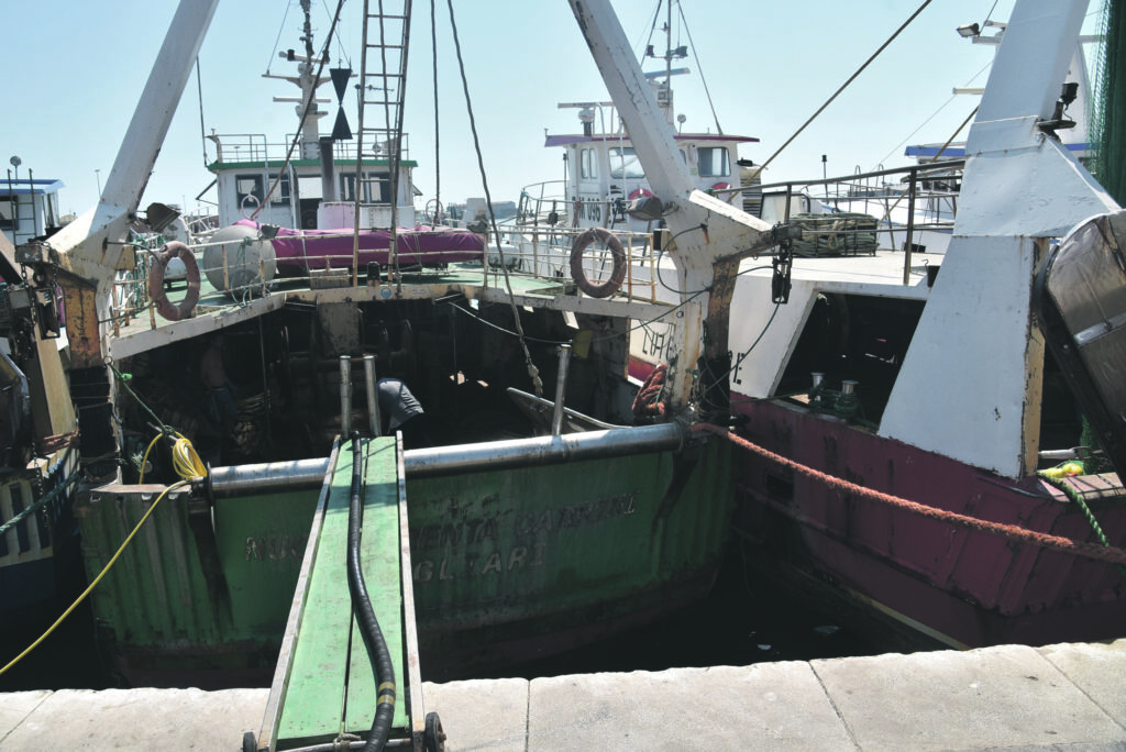 Fermo pesca 2020, esce finalmente la graduatoria