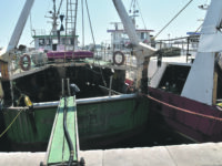 Fermo pesca 2020, esce finalmente la graduatoria