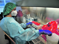 S’impenna di nuovo la curva: altri 34 casi