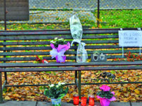 Violenza contro le donne, Toma: «Dati allarmanti, bisogna agire»