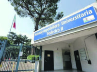 Guglionesi. Contagiata a quattro anni, ora è al Policlinico Federico II