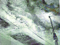 Bojano. E la chiamano casa: muffa, infiltrazioni e indifferenza