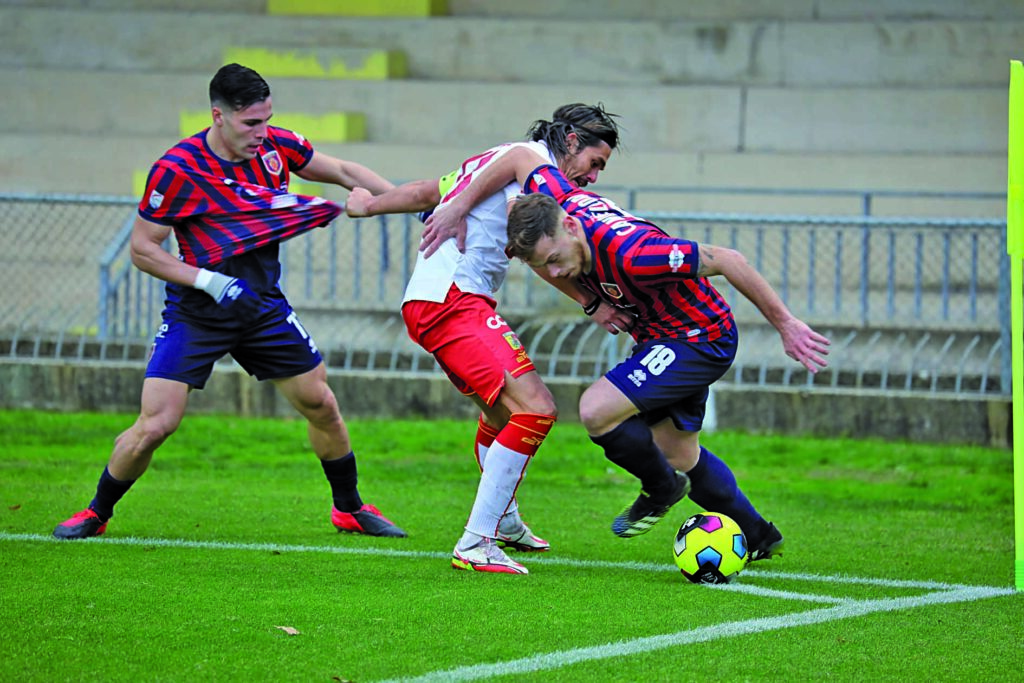 Lupi, occhio: il Potenza fa punti soltanto in casa