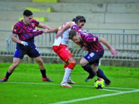 Lupi, occhio: il Potenza fa punti soltanto in casa