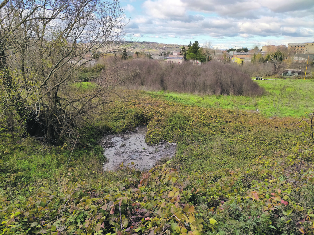 Campobasso. Liquami e odori nauseanti, in Piazza Venezia residenti sul piede di guerra