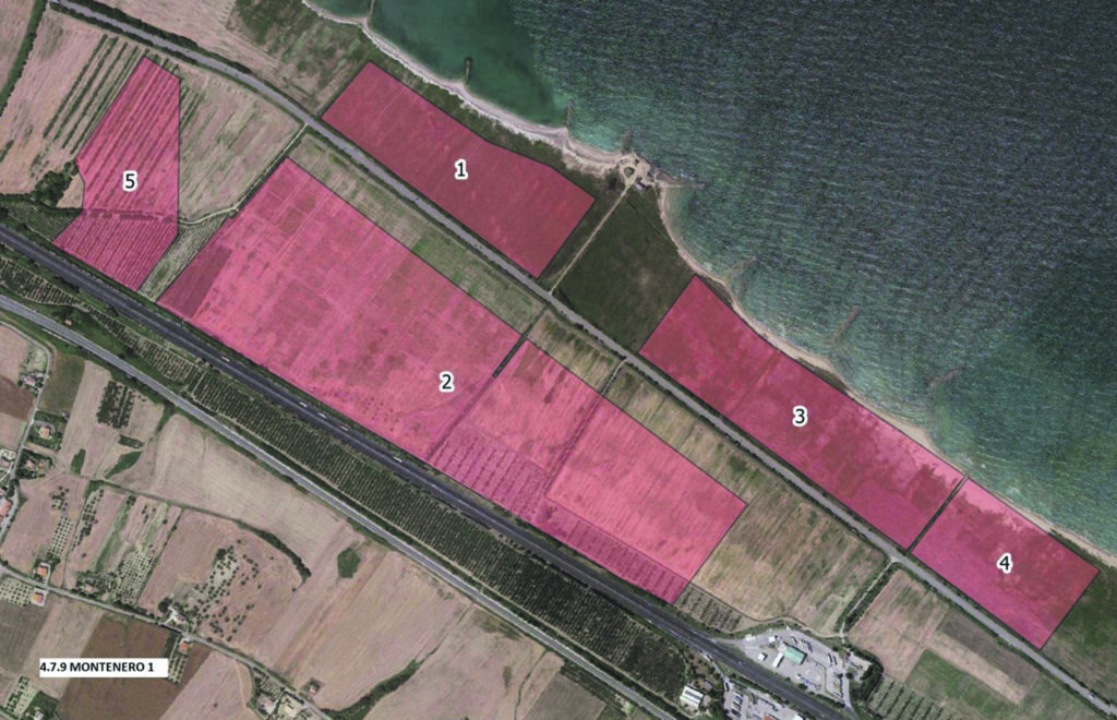 Altri 13 insediamenti nella Zes, anche South Beach