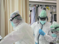 In Basilicata e Molise Omicron al top, Delta prevalente solo in Val d’Aosta