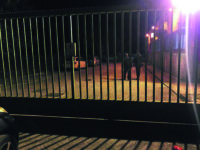 Pozzilli, morì mentre era al lavoro: chiesto il rinvio a giudizio per i responsabili aziendali