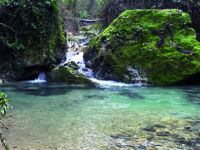 Trota mediterranea, un’aula per la salvaguardia della specie