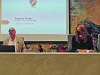 Niente sub commissario al Cdm, ennesimo schiaffo