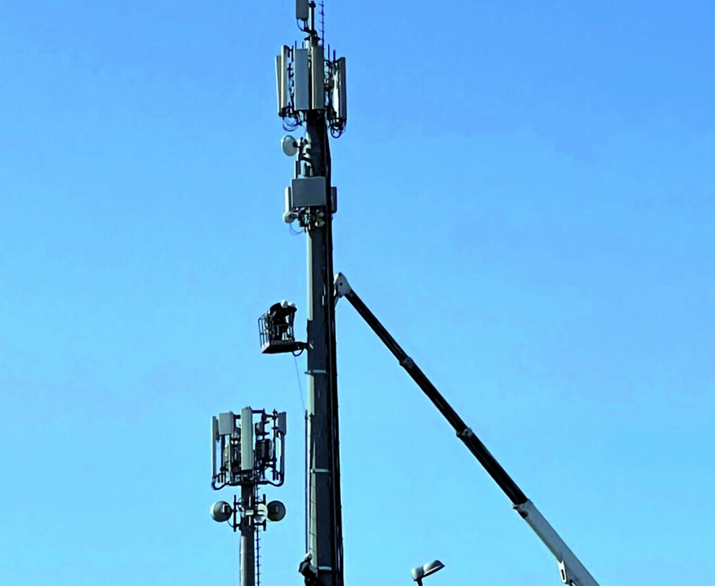 Caos concorso, Florenzano: guasto indipendente da noi, le selezioni sono regolari