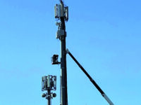 Caos concorso, Florenzano: guasto indipendente da noi, le selezioni sono regolari