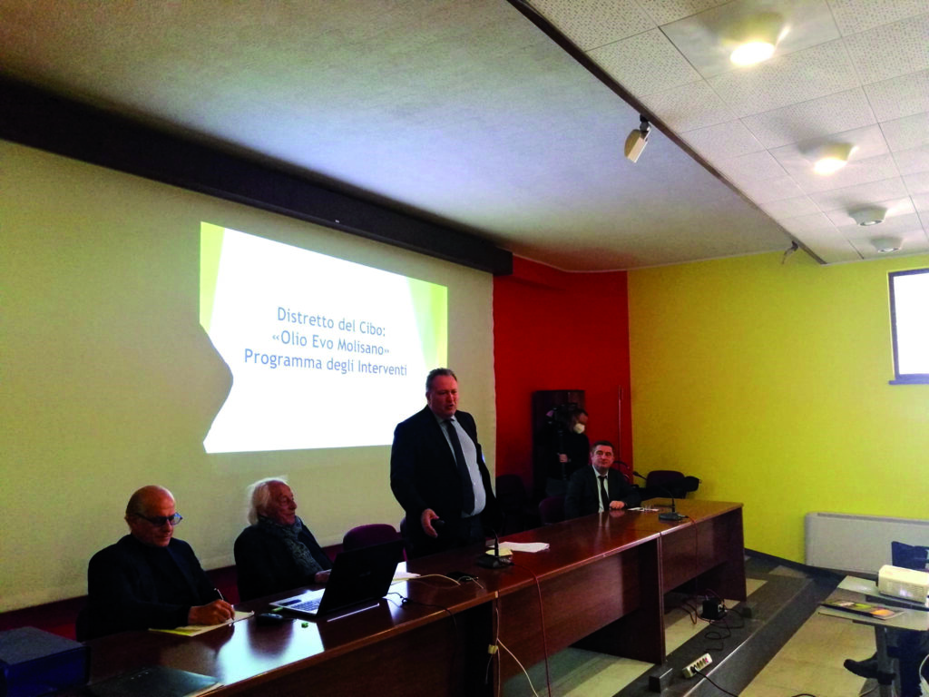 Il distretto dell’Olio Evo è realtà, Cavaliere: ora c’è da lavorare sodo per liberare risorse