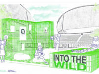 Into the wild, il talento ‘green’ di Mr Landart approda a Roma
