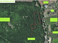 Montecilfone, un “Parco avventura” nello splendido Bosco Corundoli