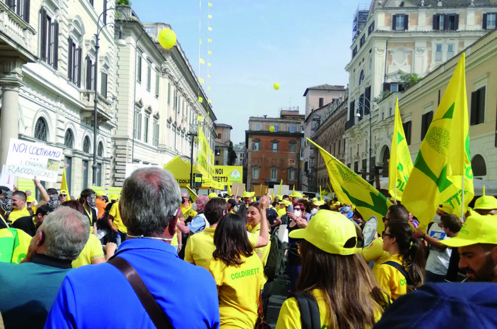 Emergenza cinghiali, migliaia di agricoltori invadono la Capitale