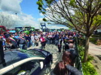 Rincari e assalti dei cinghiali: «L’agricoltura in Molise è morta»