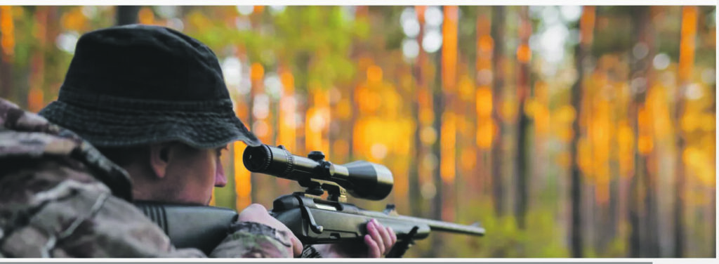 La guerra dei cinghiali: carcasse abbandonate, le ronde dei cacciatori