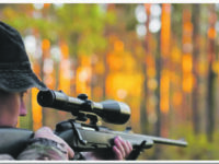 La guerra dei cinghiali: carcasse abbandonate, le ronde dei cacciatori