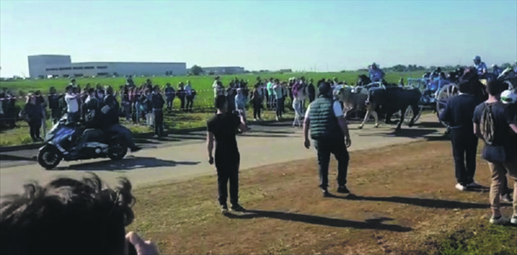 Carrese 2018 a Chieuti, a giudizio 38 persone