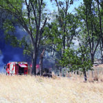 Torna l’incubo degli incendi a Campomarino, all’Happy Family in azione i Vigili del fuoco