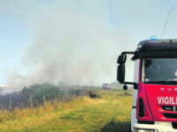 Termoli. Una dozzina di ettari in fumo tra bosco, incolto e grano: Vigili del fuoco al lavoro con 3 squadre